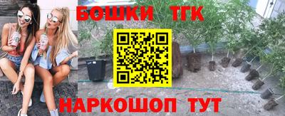 прущие крисы Сланцы
