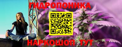 прущие крисы Сланцы