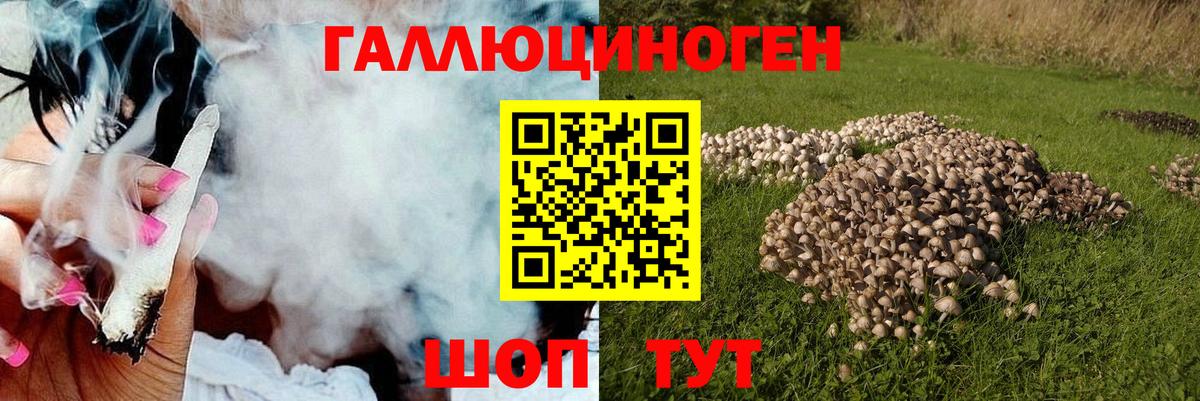 Галлюциногенные грибы Magic Shrooms Дальнереченск
